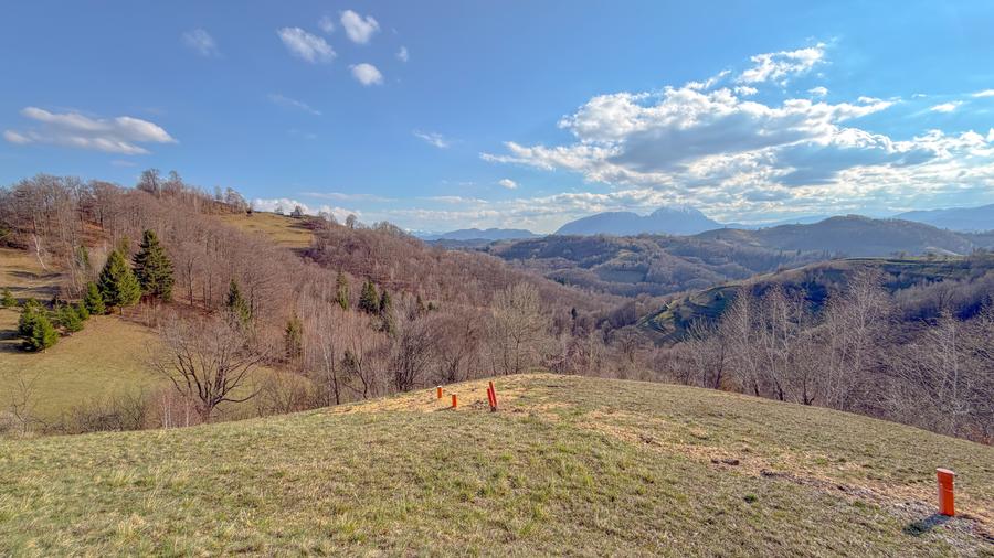 Teren extravilan de 12000 mp, în Holbav