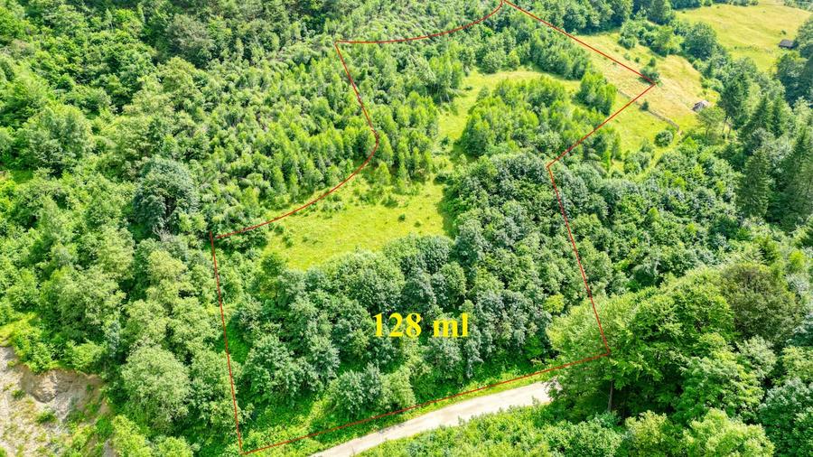 Teren agricol extravilan de 31733 mp, în Moieciu de Jos