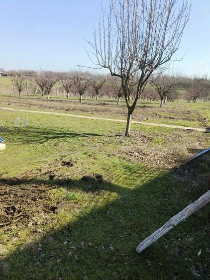 Casă cu Teren 4000 Mp în Vâlcelele