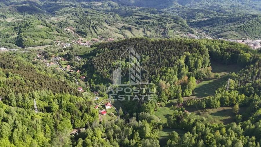Teren de 18000 mp, în Central