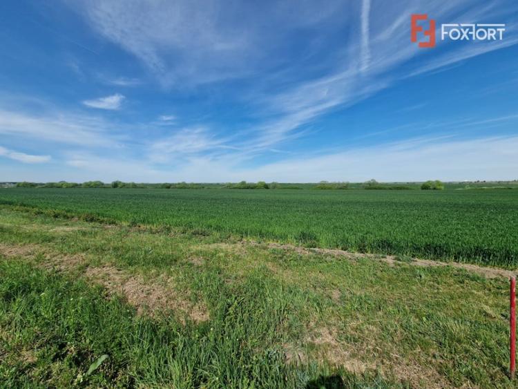 Teren extravilan de 9500 mp de vanzare in Remetea Mare - 1