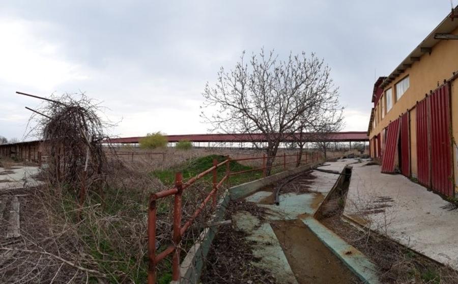 Proprietate specială, de 5,441 mp, în Vâlcelele