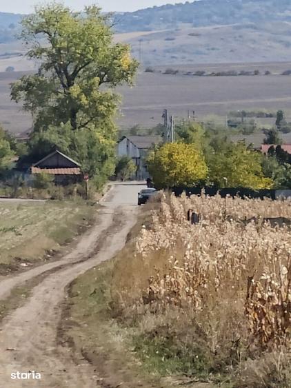 Teren de 500 mp, în Voinești