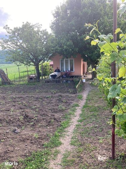 Teren 2.000 mp in Dezmir | Livada cu 100 pomi fructiferi | Fantana - 7