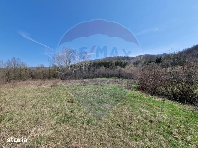 Teren de 9428 mp, în Mărgineni