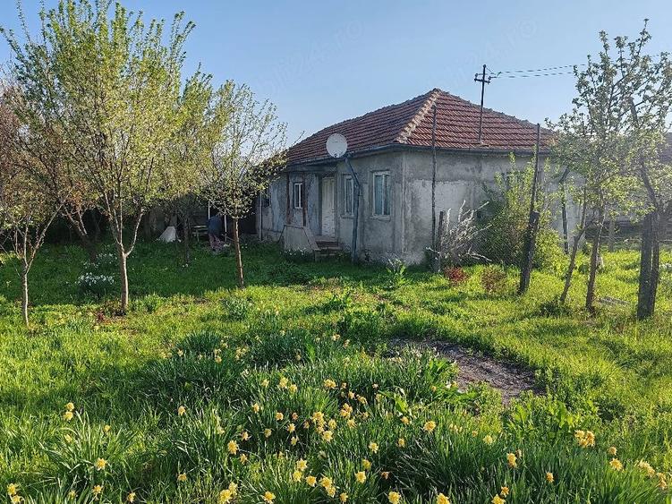 Casă cu Teren 5000 Mp în Unguriu