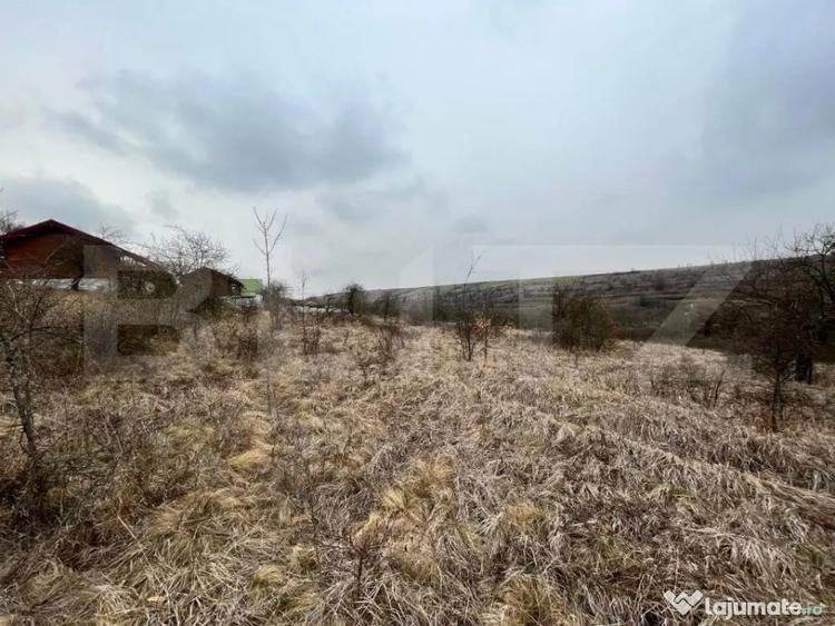 REDUCERE!!! Teren extravilan 5.613 mp, livada, zona Prede? - 4