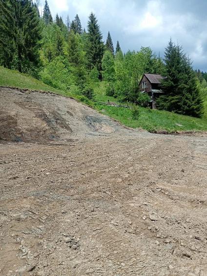 Teren de 3100 mp, în Muntele Băișorii