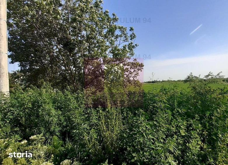 Teren de 5000 mp, în Copăceni