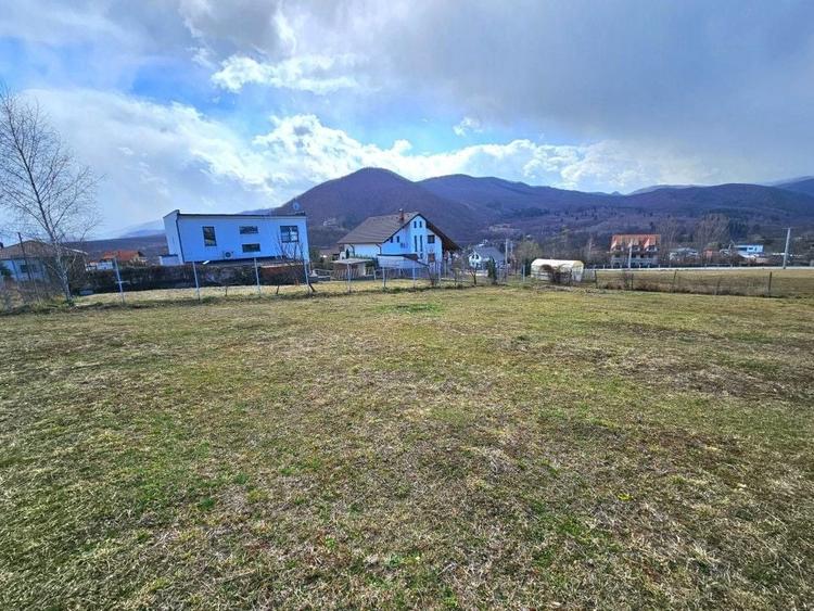 Teren Construcții intravilan de 1650 mp, în Cisnădioara