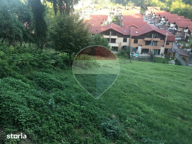 Teren de 2900 mp, în Dârste