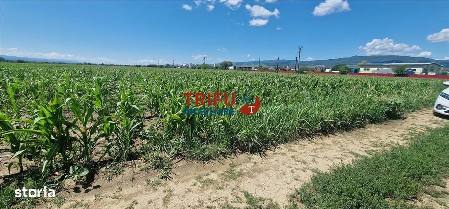 Teren de vanzare langa soseaua de centura, 5100 mp - 3
