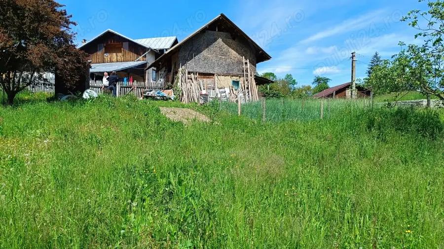 Teren de 2276 mp, în Drăgăneasa