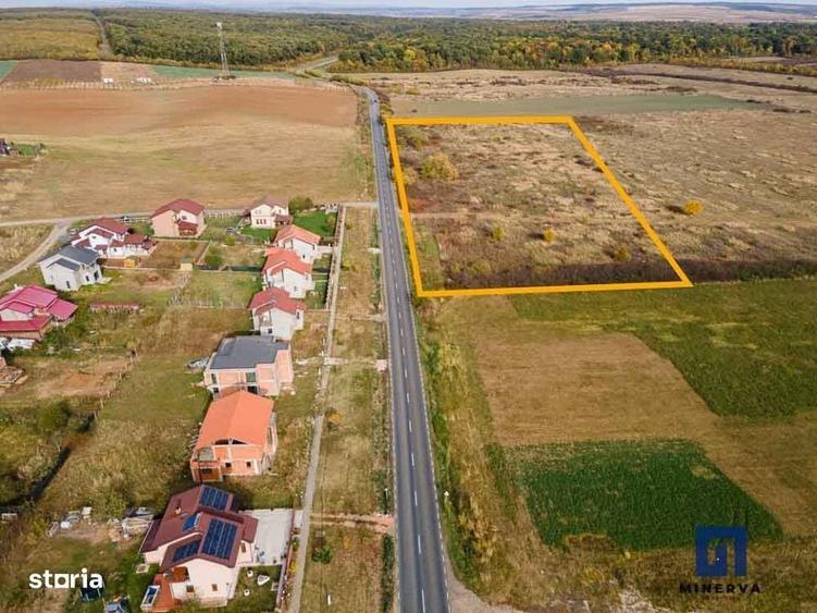 Spațiu comercial, în Pișchia
