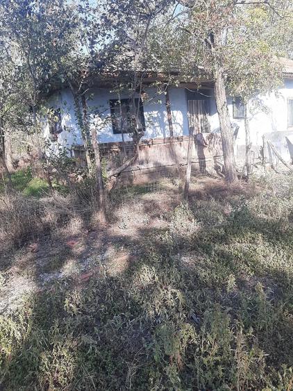 Teren de 817 mp, în Mandra