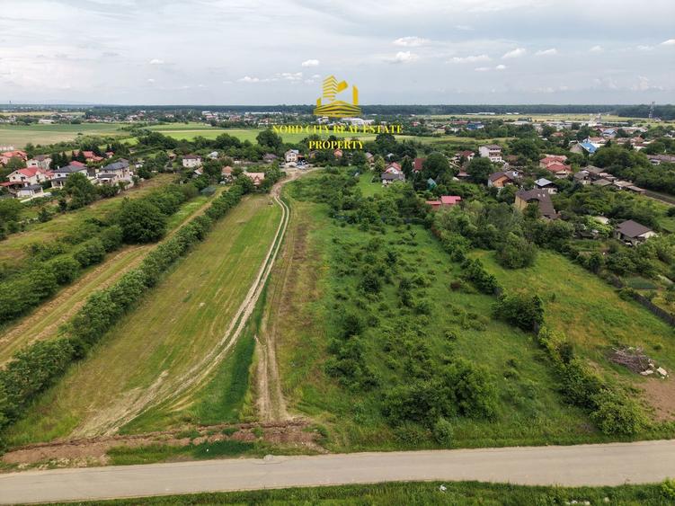 Teren Construcții intravilan de 3114 mp, în Ciolpani