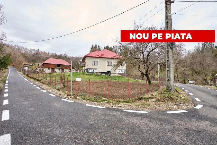 Casă cu 4 camere cu Teren 4213 Mp în Nucșoara
