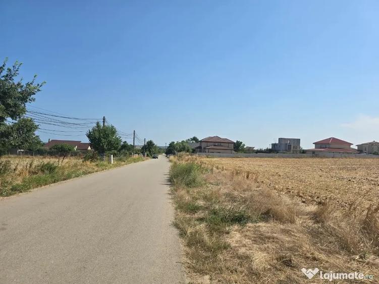 Teren de vanzare in Lazu - 10