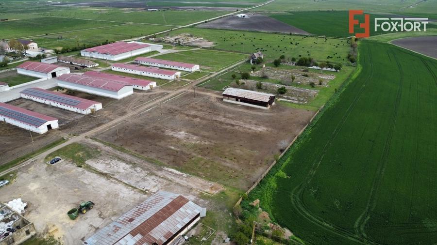 Teren Construcții intravilan de 58340 mp, în Sânmartinu Sârbesc