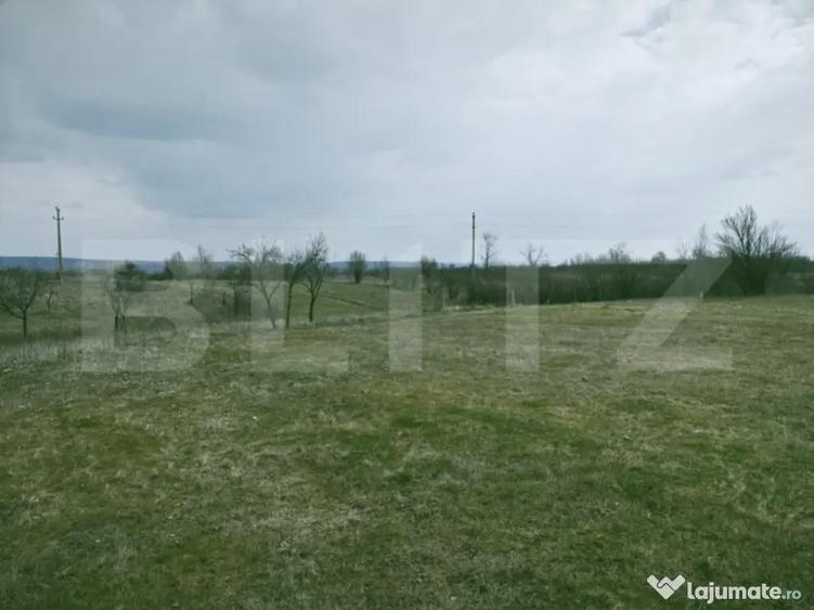 Teren intravilan ?i extravilan, suprafata de 1,37 hectare, - 1