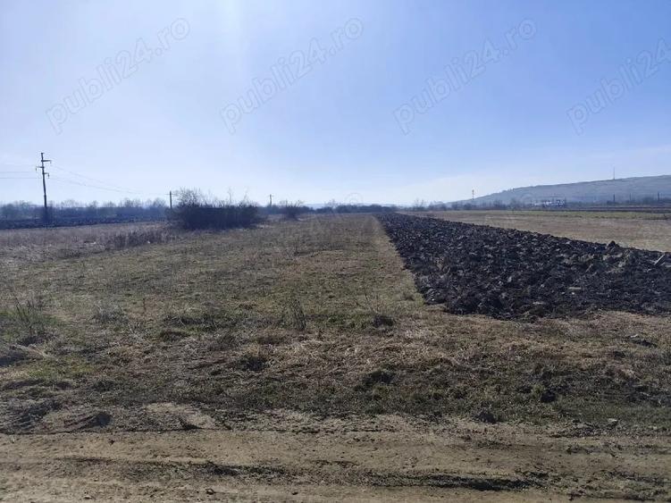 Teren de 11000 mp, în Răscruci