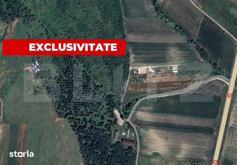 Teren de 5996 mp, în Teiu