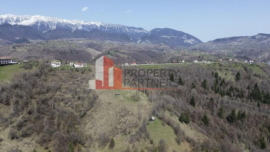Teren Construcții intravilan de 29595 mp, în Drumul Carului