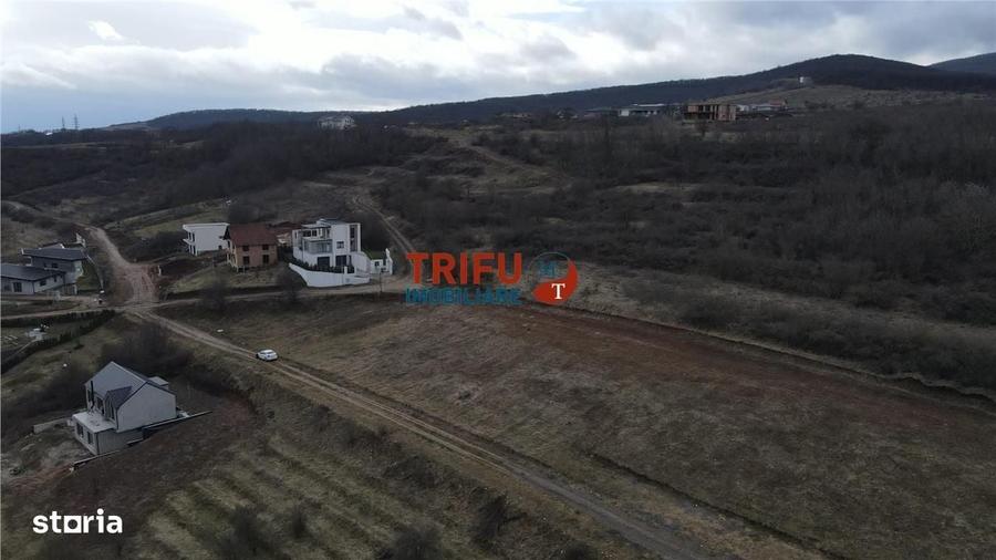 Spațiu comercial, în Cetate