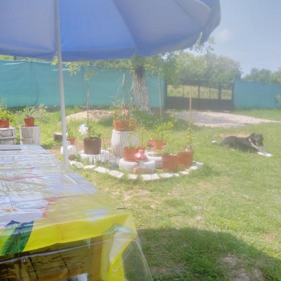Casă individuală cu 2 camere cu Teren 1450 Mp în Baia de Criș