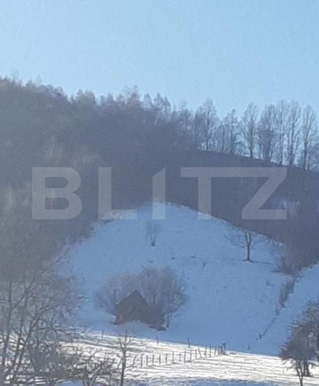 Teren Construcții intravilan de 9428 mp, în Bran