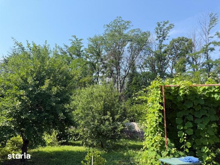 Casă cu 3 camere cu Teren 5000 Mp în Berceni