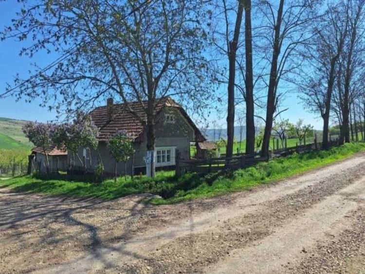 Casă cu 2 camere în Vale