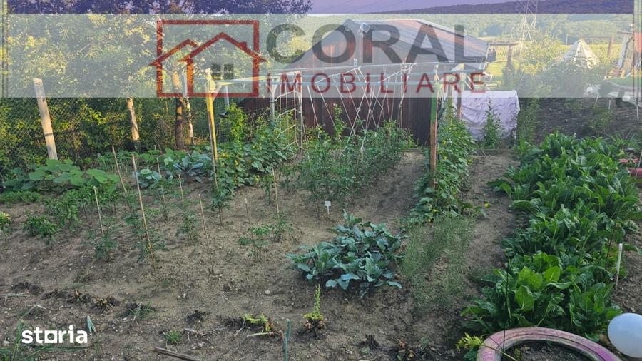 Teren de 2200 mp, în Cârjiți