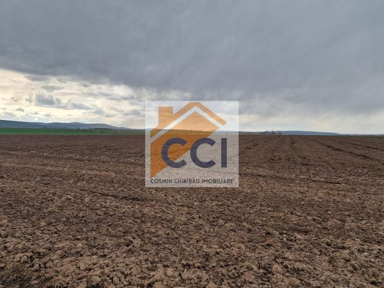 Teren agricol intravilan de 10000 mp, în Vest