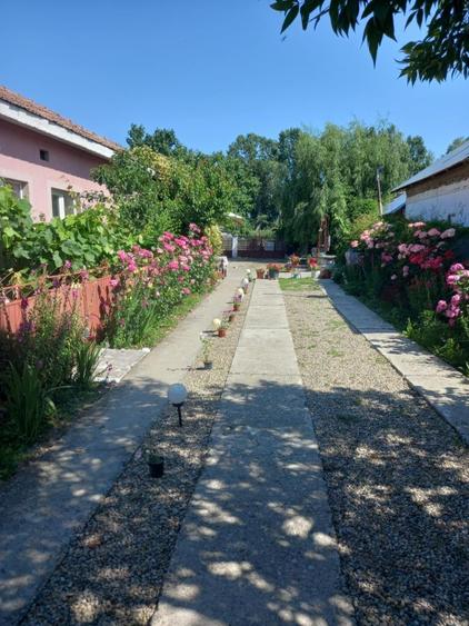Vand Casa sat Greci comuna Osica de Sus - 5