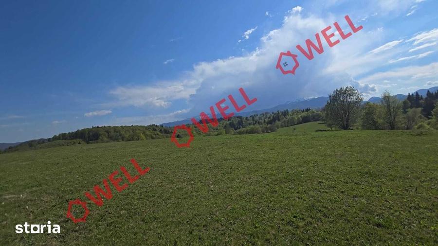 Teren de 2702 mp, în Vama Buzăului