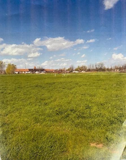 Teren Construcții intravilan de 9375 mp, în Mofleni