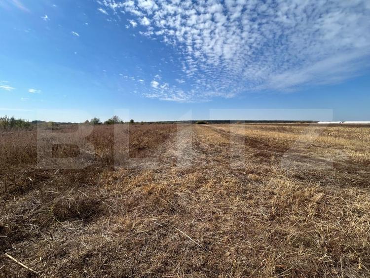 Teren agricol extravilan de 3600 mp, în Exterior Est