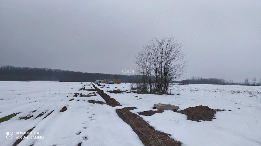 Loturi teren intravilan 700 m2 in Sili?tea Snagovului