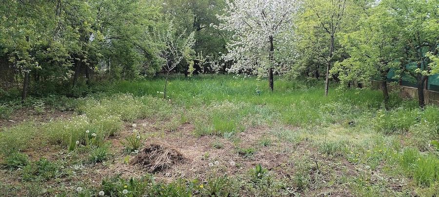 Teren de 590 mp, în Giurgiului