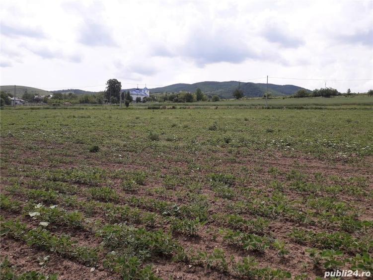 Teren de 7700 mp, în Central