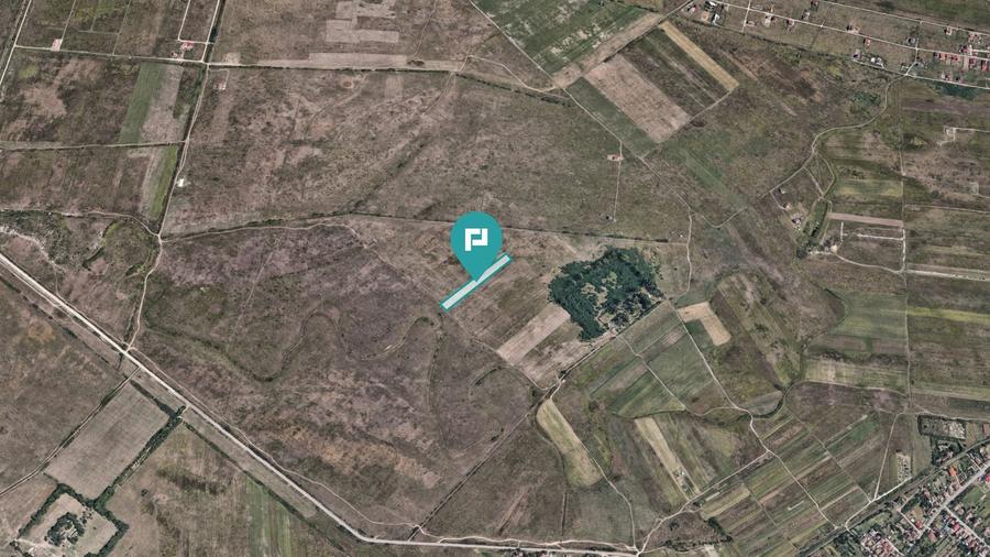Teren Construcții extravilan de 10000 mp, în Moșnița Nouă