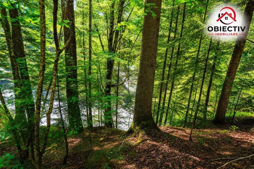 🏡 Cabană de Vânzare în Tarcău – Natură, Relaxare și Pescuit la Poartă! 🎣🌲 - 5
