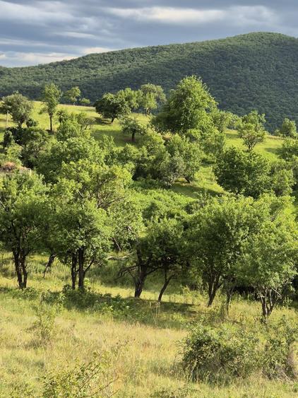 Casă cu 4 camere în Vurpăr