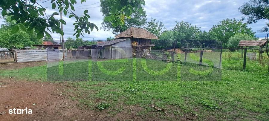 Vanzare Casa | Teren 2.500 Mp | Livada Si Gradina | Comuna Beuca, Tele - 11