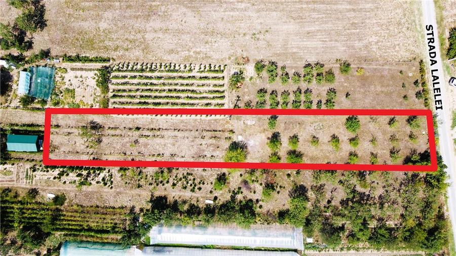Teren Construcții intravilan de 1320 mp, în Sud