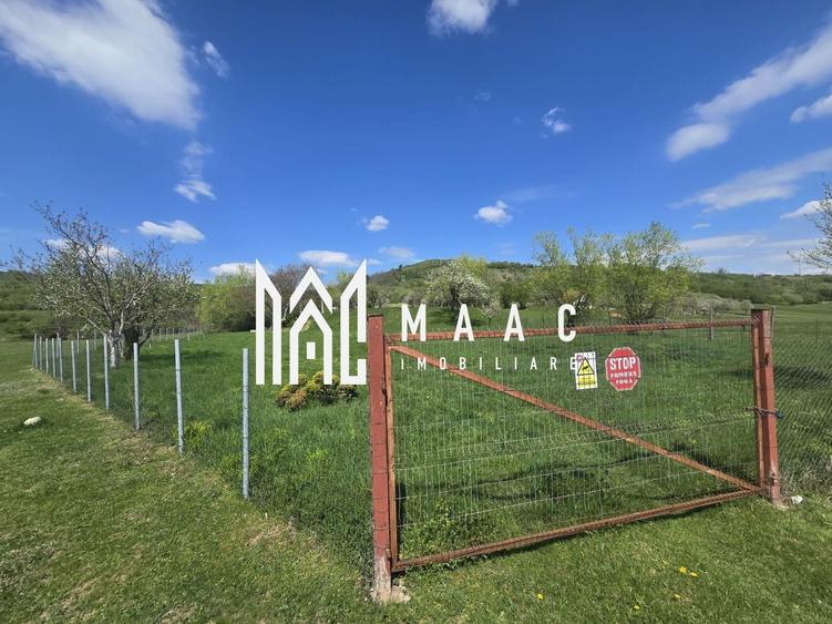 Teren agricol extravilan de 5400 mp, în Orlat