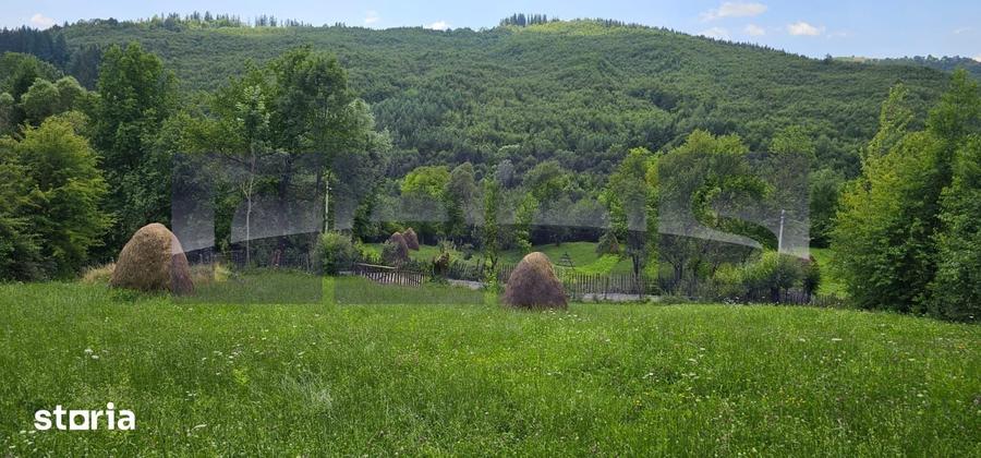 Teren de 2200 mp, în Valea Doftanei