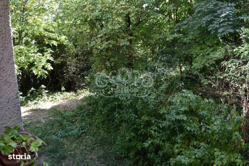 Apartament cu 2 camere în Centrul Istoric