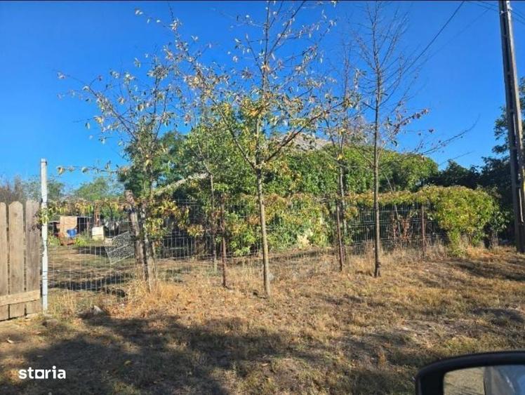 Casa si teren-Com Tamadau Mare, jud. Calarasi - 2